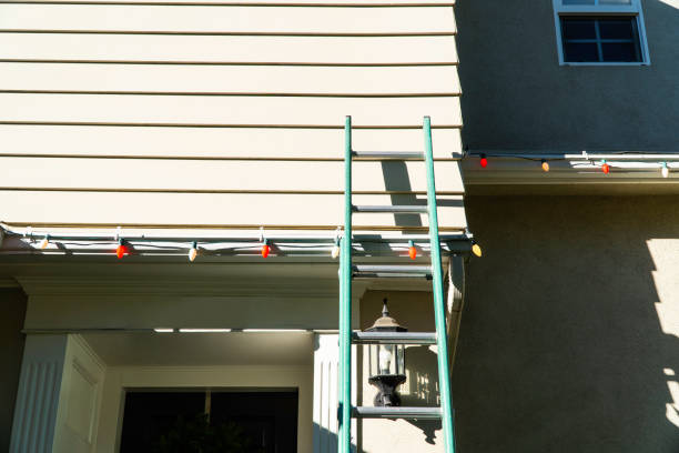 Best Siding Painting and Refinishing  in Providence Village, TX